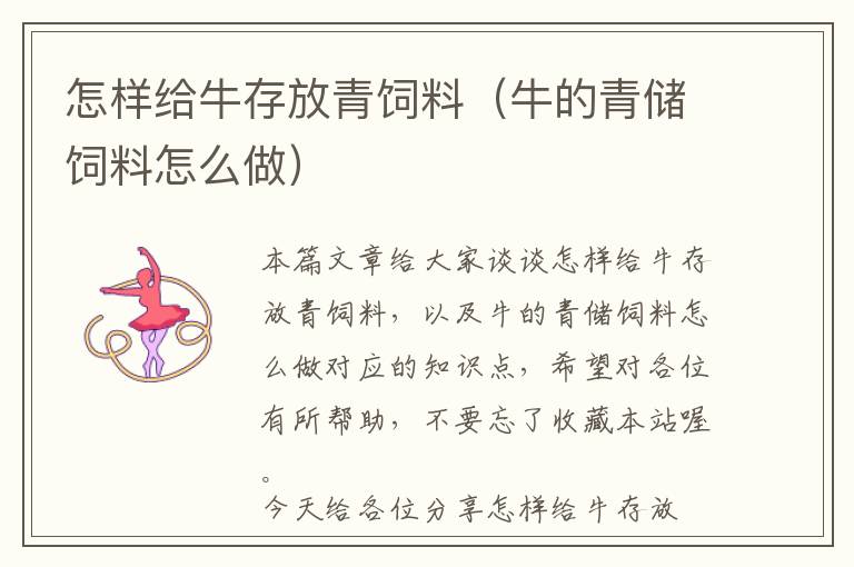 怎樣給牛存放青飼料（牛的青儲飼料怎么做）