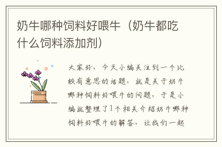 奶牛哪種飼料好喂牛（奶牛都吃什么飼料添加劑）