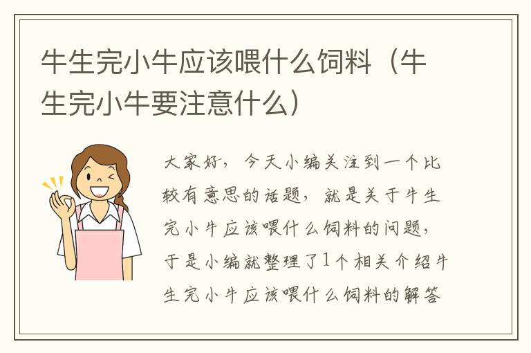 牛生完小牛應(yīng)該喂什么飼料(牛生完小牛要注意什么)