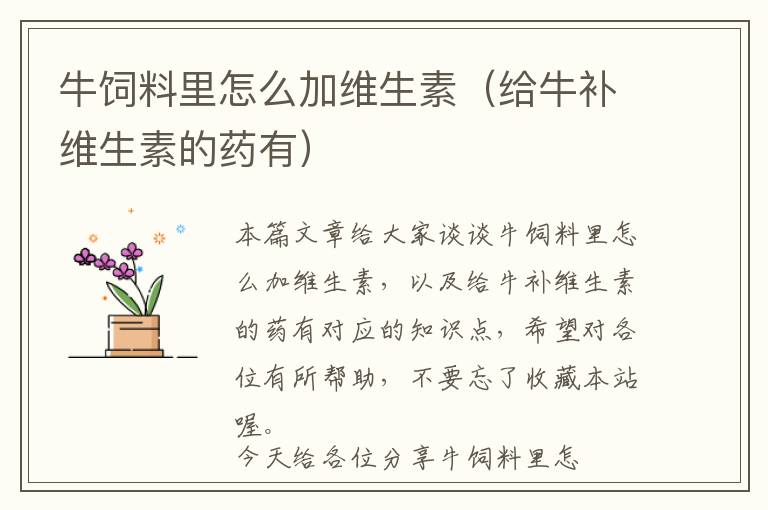 牛飼料里怎么加維生素（給牛補維生素的藥有）