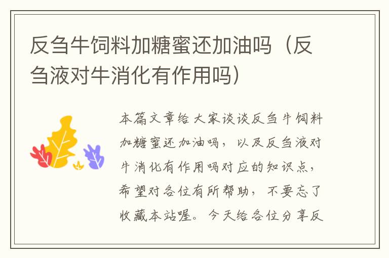 反芻牛飼料加糖蜜還加油嗎(反芻液對(duì)牛消化有作用嗎)