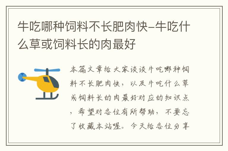 牛吃哪種飼料不長(zhǎng)肥肉快-牛吃什么草或飼料長(zhǎng)的肉最好