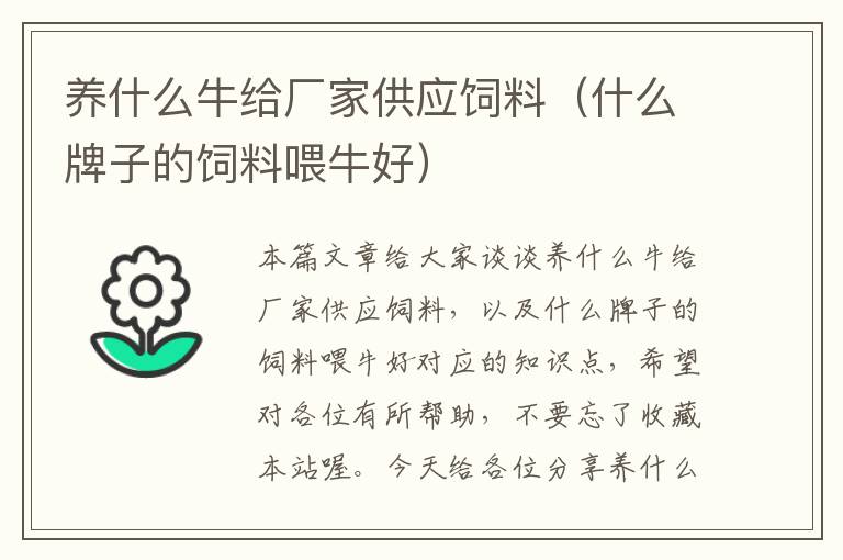 養(yǎng)什么牛給廠家供應(yīng)飼料（什么牌子的飼料喂牛好）