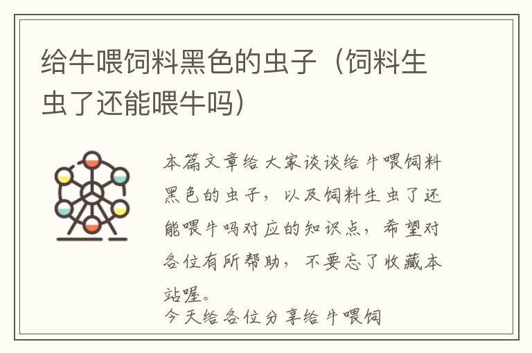 給牛喂飼料黑色的蟲子(飼料生蟲了還能喂牛嗎)