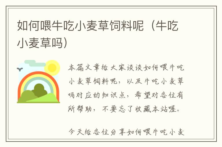 如何喂牛吃小麥草飼料呢(牛吃小麥草嗎)