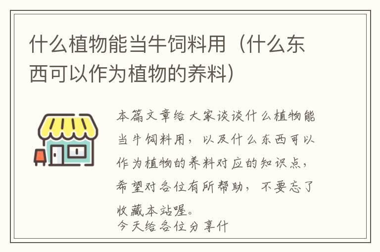 什么植物能當(dāng)牛飼料用(什么東西可以作為植物的養(yǎng)料)