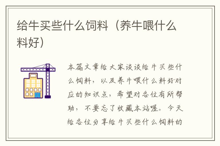 給牛買些什么飼料(養(yǎng)牛喂什么料好)