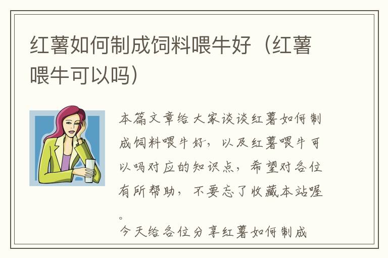 紅薯如何制成飼料喂牛好(紅薯喂牛可以嗎)