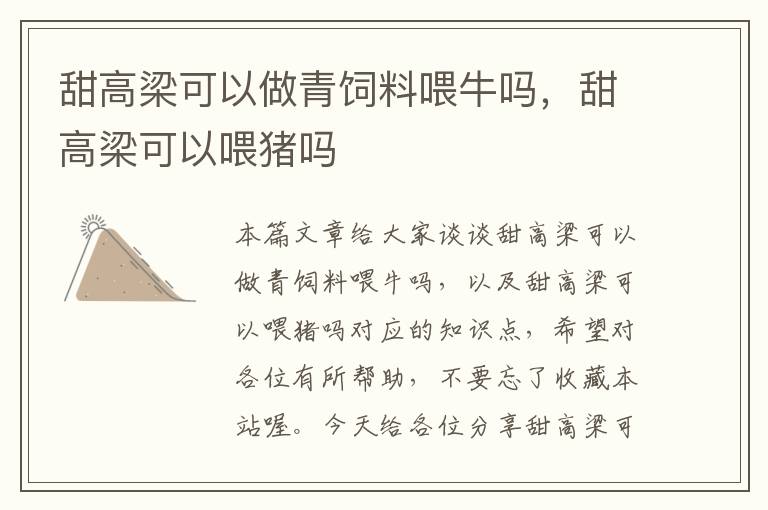 甜高梁可以做青飼料喂牛嗎，甜高梁可以喂豬嗎