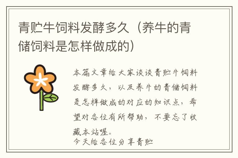 青貯牛飼料發(fā)酵多久(養(yǎng)牛的青儲飼料是怎樣做成的)
