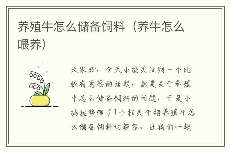養(yǎng)殖牛怎么儲備飼料(養(yǎng)牛怎么喂養(yǎng))