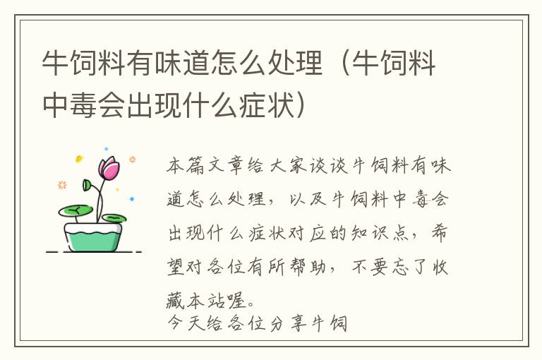 牛飼料有味道怎么處理(牛飼料中毒會出現(xiàn)什么癥狀)