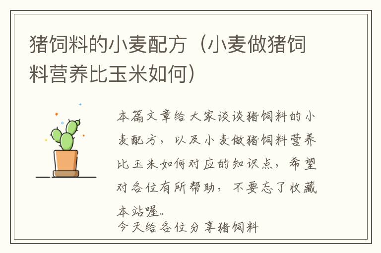 豬飼料的小麥配方(小麥做豬飼料營(yíng)養(yǎng)比玉米如何)