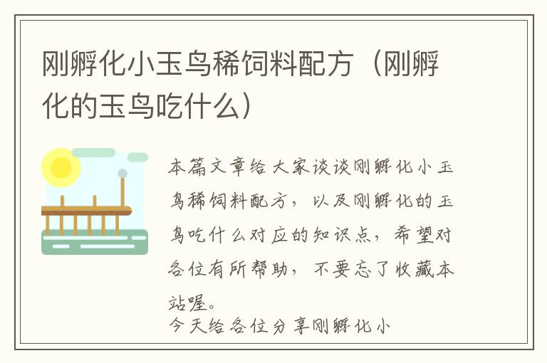 剛孵化小玉鳥稀飼料配方（剛孵化的玉鳥吃什么）