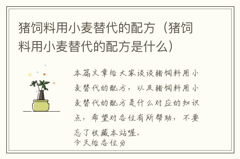 豬飼料用小麥替代的配方(豬飼料用小麥替代的配方是什么)
