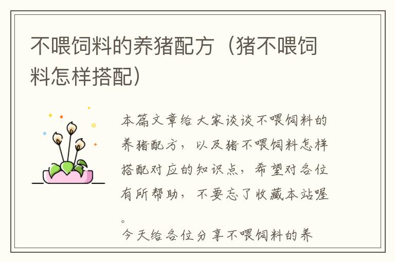 不喂飼料的養(yǎng)豬配方(豬不喂飼料怎樣搭配)