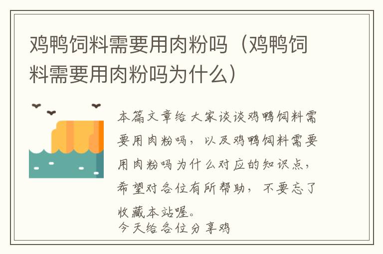 雞鴨飼料需要用肉粉嗎(雞鴨飼料需要用肉粉嗎為什么)
