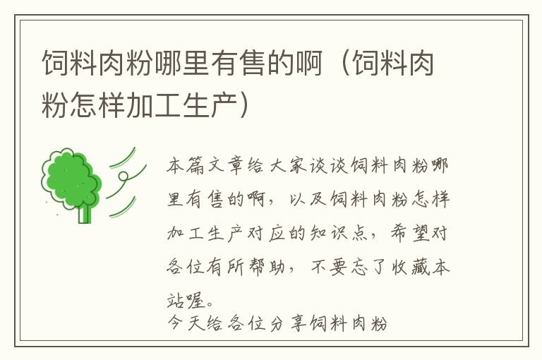飼料肉粉哪里有售的?。暳先夥墼鯓蛹庸どa(chǎn)）