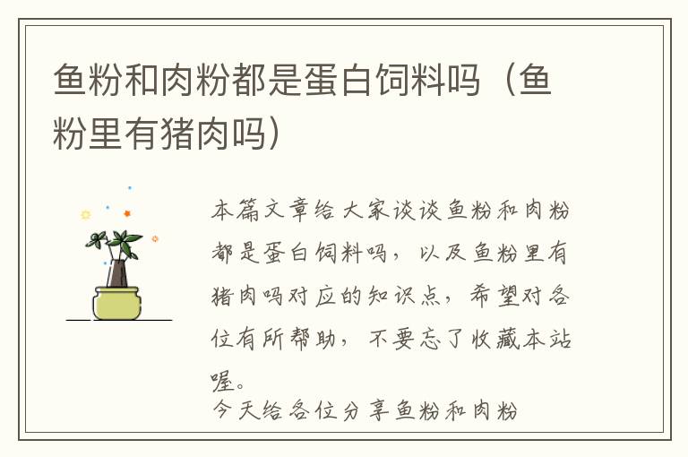 魚(yú)粉和肉粉都是蛋白飼料嗎（魚(yú)粉里有豬肉嗎）
