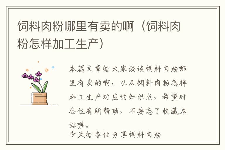 飼料肉粉哪里有賣的?。暳先夥墼鯓蛹庸どa(chǎn))