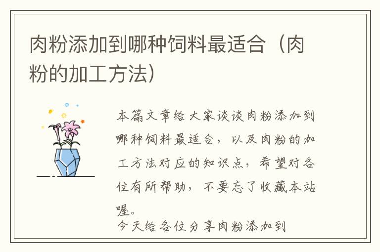 肉粉添加到哪種飼料最適合(肉粉的加工方法)