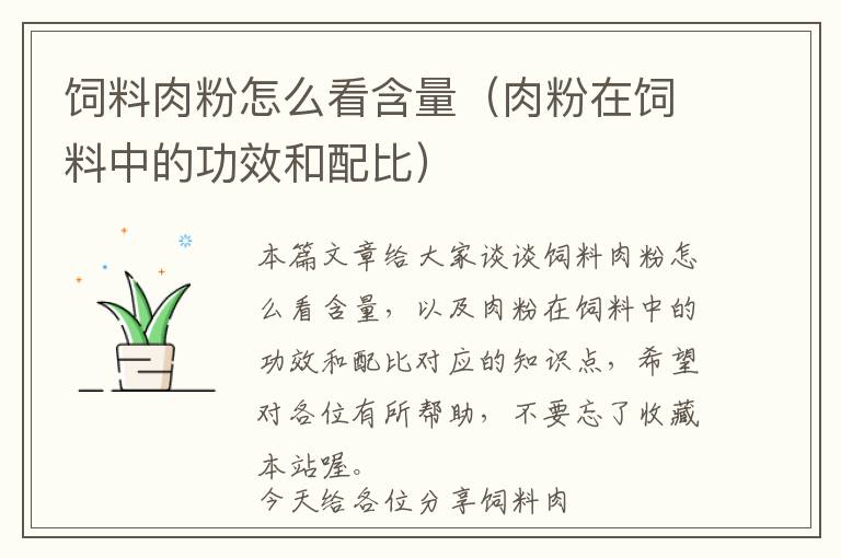 飼料肉粉怎么看含量(肉粉在飼料中的功效和配比)