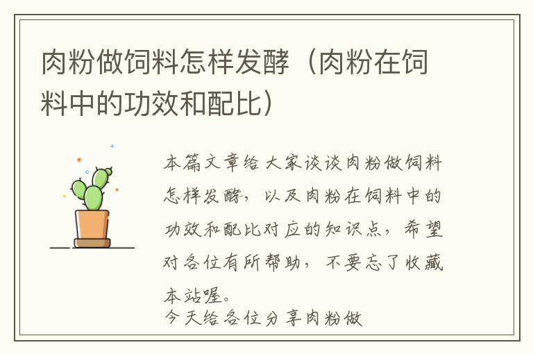 肉粉做飼料怎樣發(fā)酵(肉粉在飼料中的功效和配比)