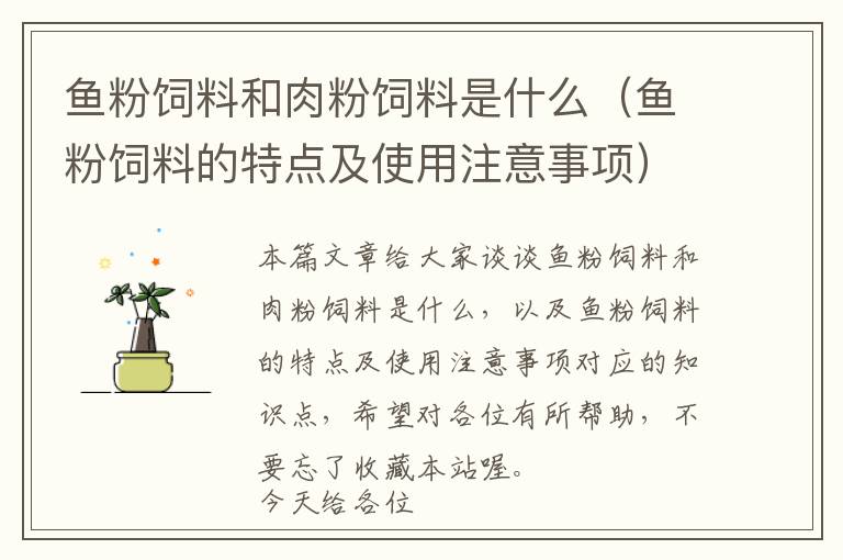 魚(yú)粉飼料和肉粉飼料是什么（魚(yú)粉飼料的特點(diǎn)及使用注意事項(xiàng)）