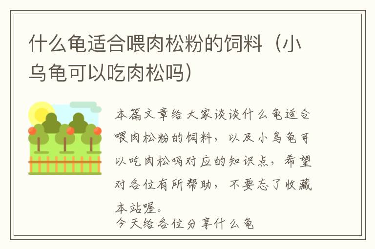 什么龜適合喂肉松粉的飼料(小烏龜可以吃肉松嗎)