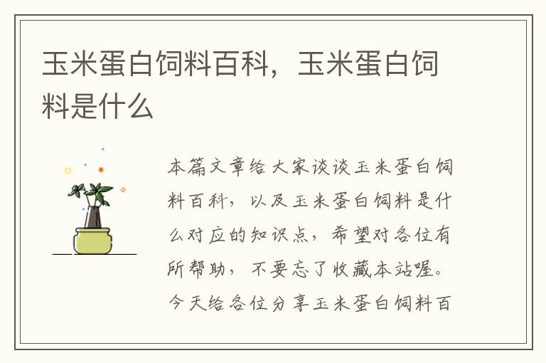 玉米蛋白飼料百科，玉米蛋白飼料是什么