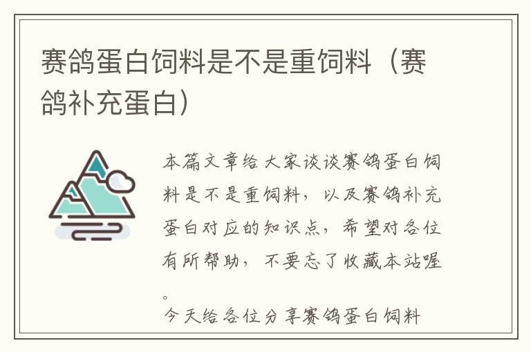 賽鴿蛋白飼料是不是重飼料(賽鴿補(bǔ)充蛋白)