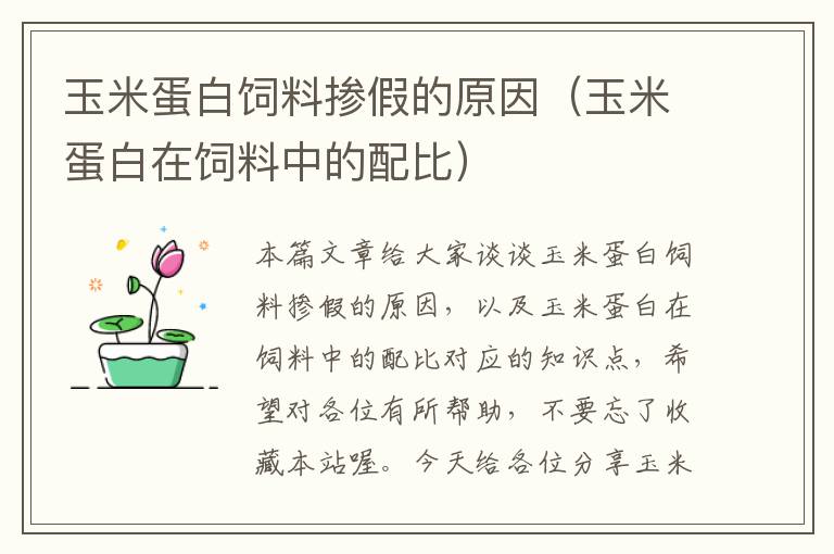 玉米蛋白飼料摻假的原因(玉米蛋白在飼料中的配比)