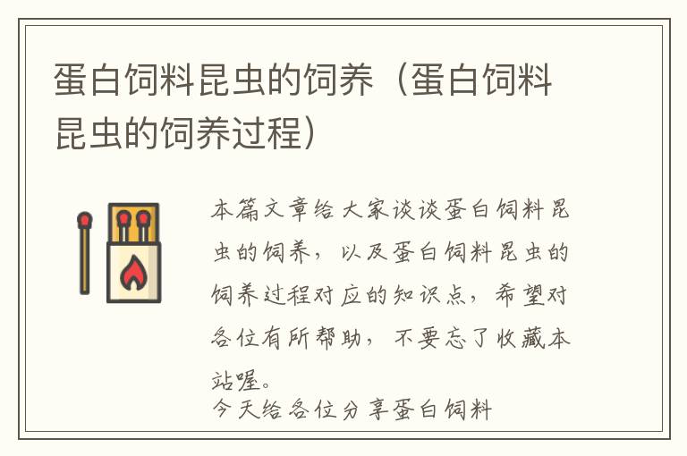 蛋白飼料昆蟲的飼養(yǎng)（蛋白飼料昆蟲的飼養(yǎng)過程）