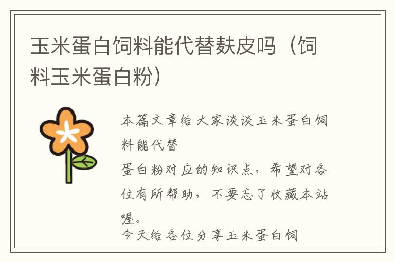 玉米蛋白飼料能代替麩皮嗎(飼料玉米蛋白粉)