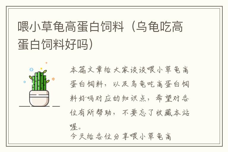 喂小草龜高蛋白飼料(烏龜吃高蛋白飼料好嗎)