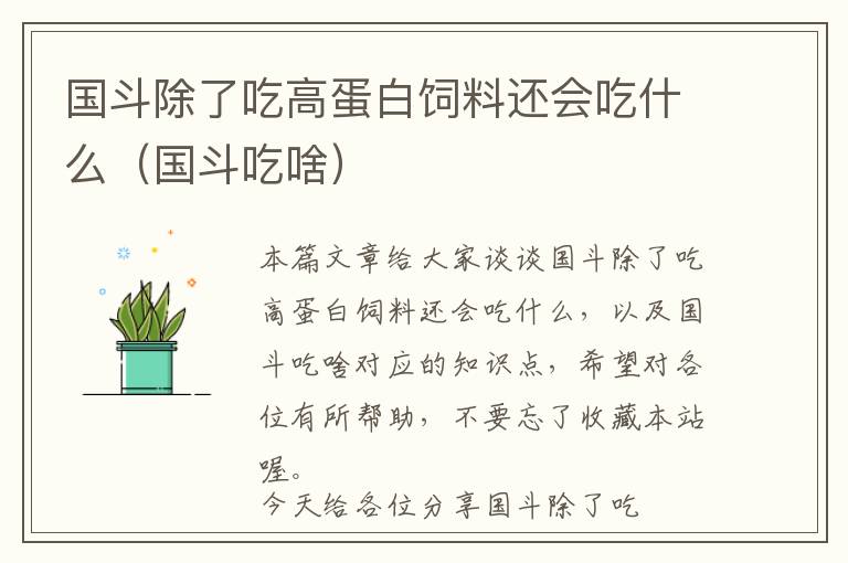 國斗除了吃高蛋白飼料還會(huì)吃什么（國斗吃啥）