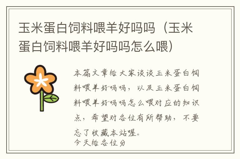 玉米蛋白飼料喂羊好嗎嗎(玉米蛋白飼料喂羊好嗎嗎怎么喂)