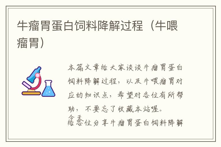 牛瘤胃蛋白飼料降解過程(牛喂瘤胃)