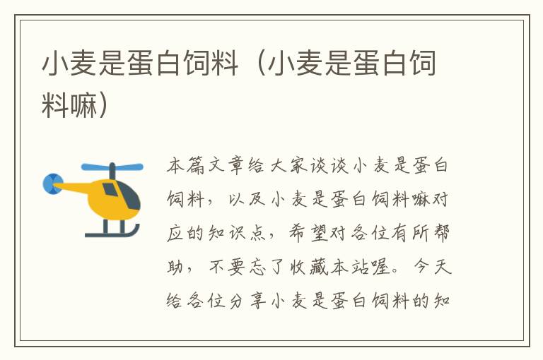小麥是蛋白飼料(小麥是蛋白飼料嘛)