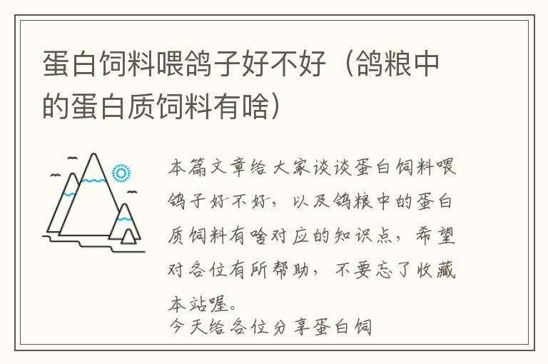 蛋白飼料喂鴿子好不好（鴿糧中的蛋白質飼料有啥）