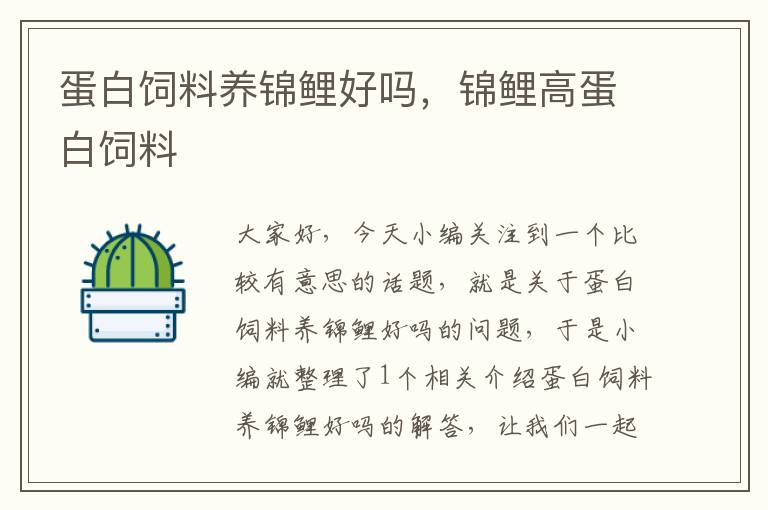 蛋白飼料養(yǎng)錦鯉好嗎，錦鯉高蛋白飼料