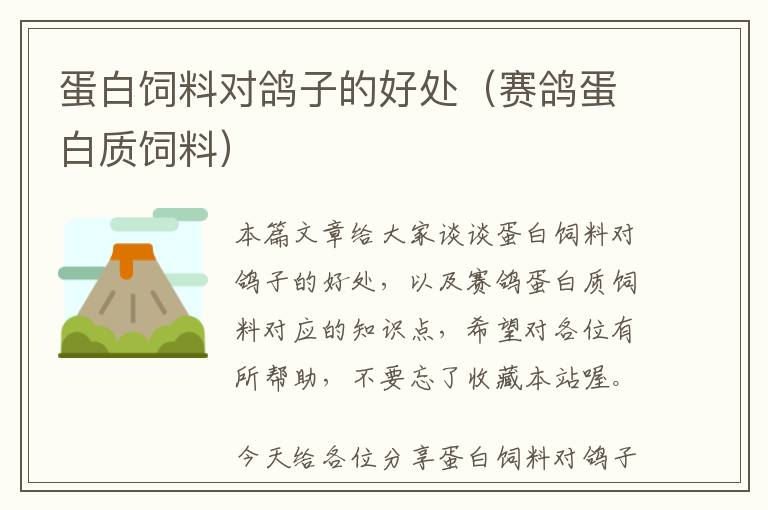 蛋白飼料對鴿子的好處(賽鴿蛋白質(zhì)飼料)