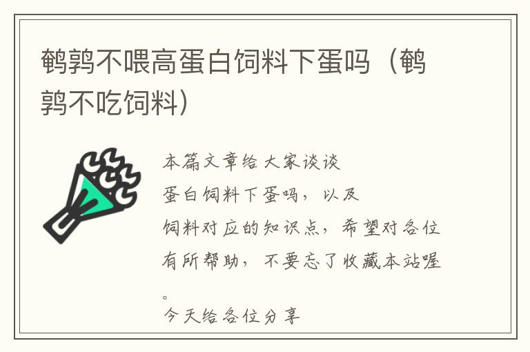 鵪鶉不喂高蛋白飼料下蛋嗎(鵪鶉不吃飼料)