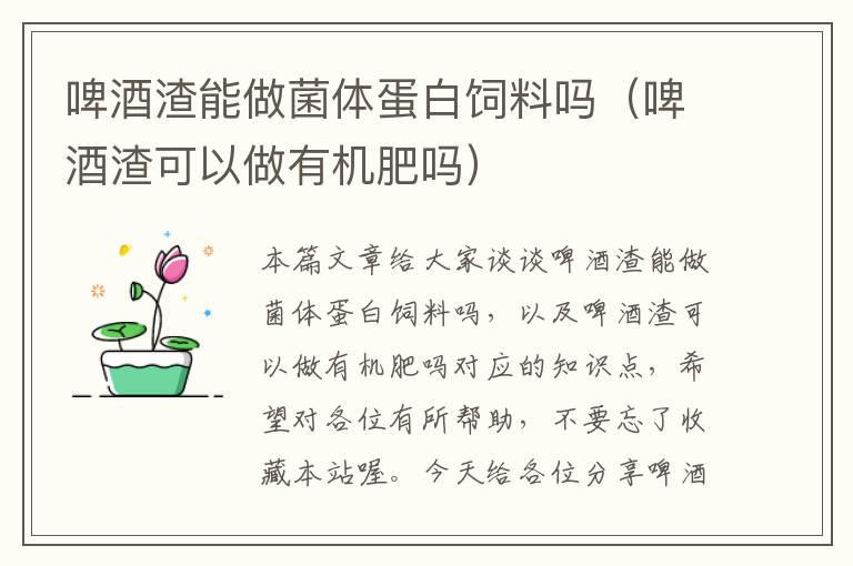 啤酒渣能做菌體蛋白飼料嗎(啤酒渣可以做有機肥嗎)
