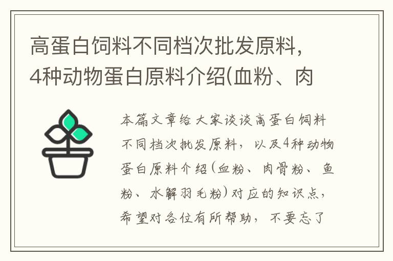 高蛋白飼料不同檔次批發(fā)原料，4種動物蛋白原料介紹(血粉、肉骨粉、魚粉、水解羽毛粉)