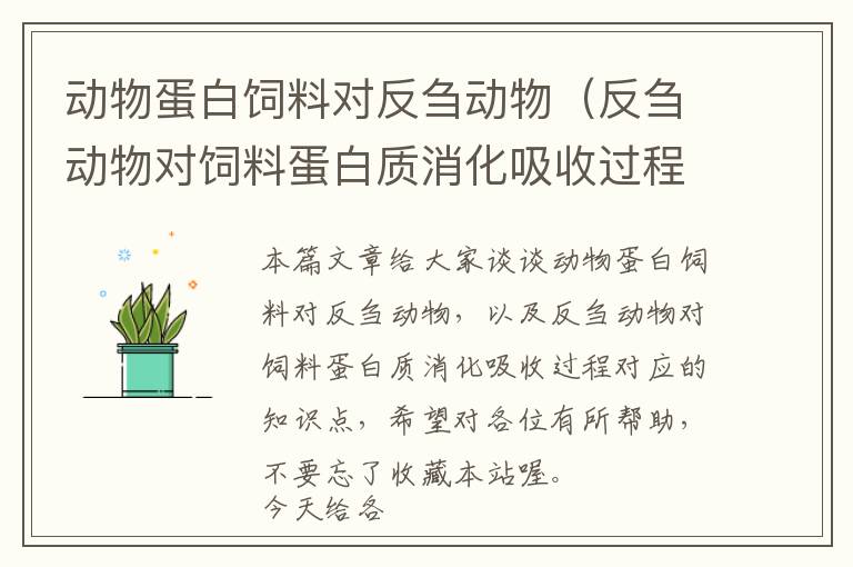 動(dòng)物蛋白飼料對(duì)反芻動(dòng)物（反芻動(dòng)物對(duì)飼料蛋白質(zhì)消化吸收過程）