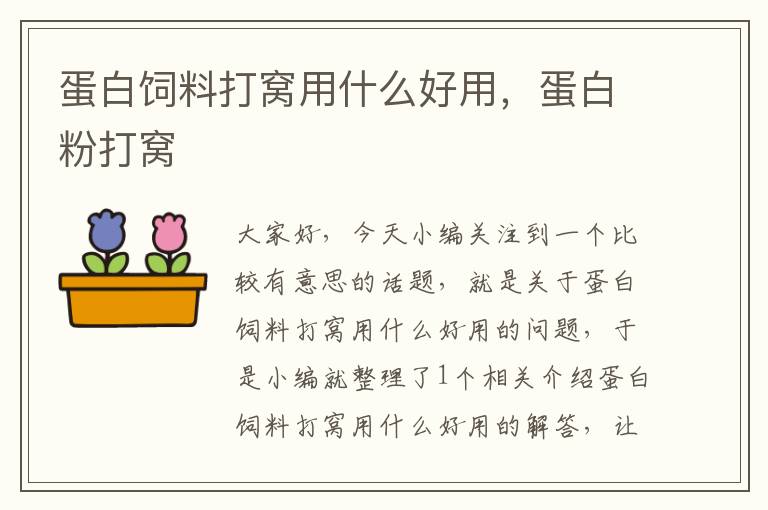 蛋白飼料打窩用什么好用，蛋白粉打窩