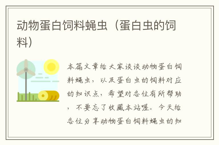 動物蛋白飼料蠅蟲(蛋白蟲的飼料)