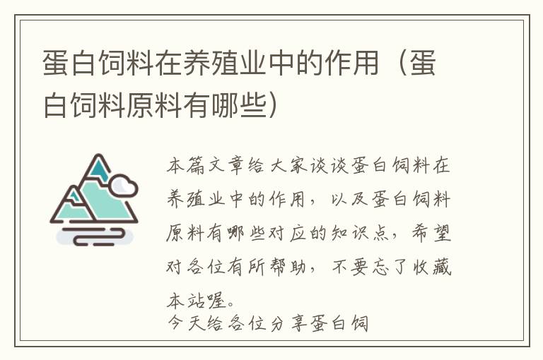 蛋白飼料在養(yǎng)殖業(yè)中的作用(蛋白飼料原料有哪些)