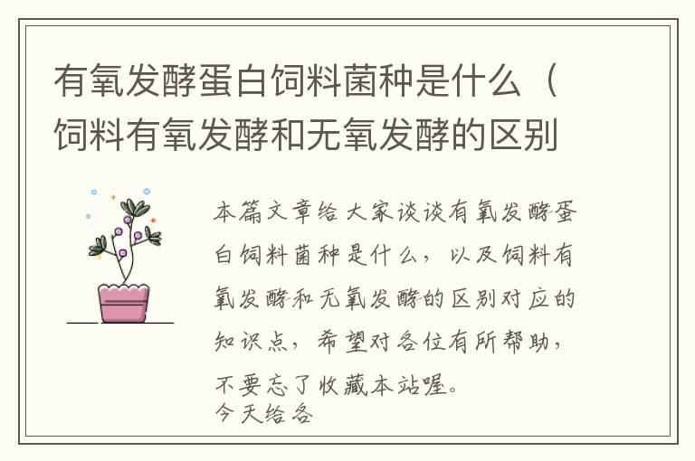 有氧發(fā)酵蛋白飼料菌種是什么(飼料有氧發(fā)酵和無氧發(fā)酵的區(qū)別)